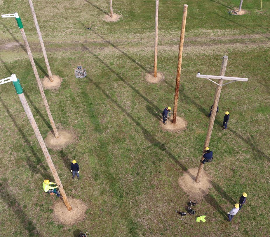 Apprentice Field Day