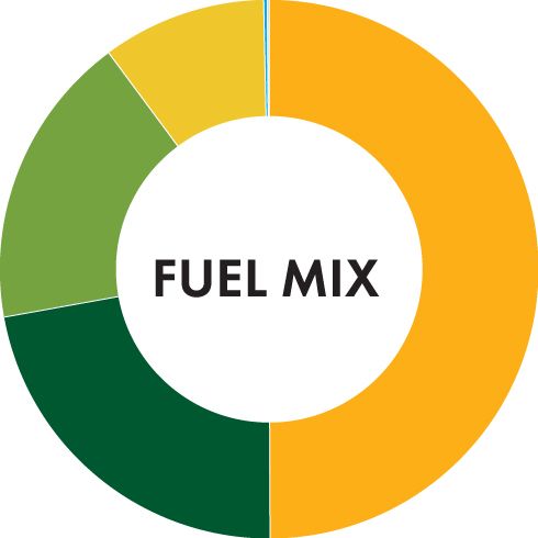 Fuel mix