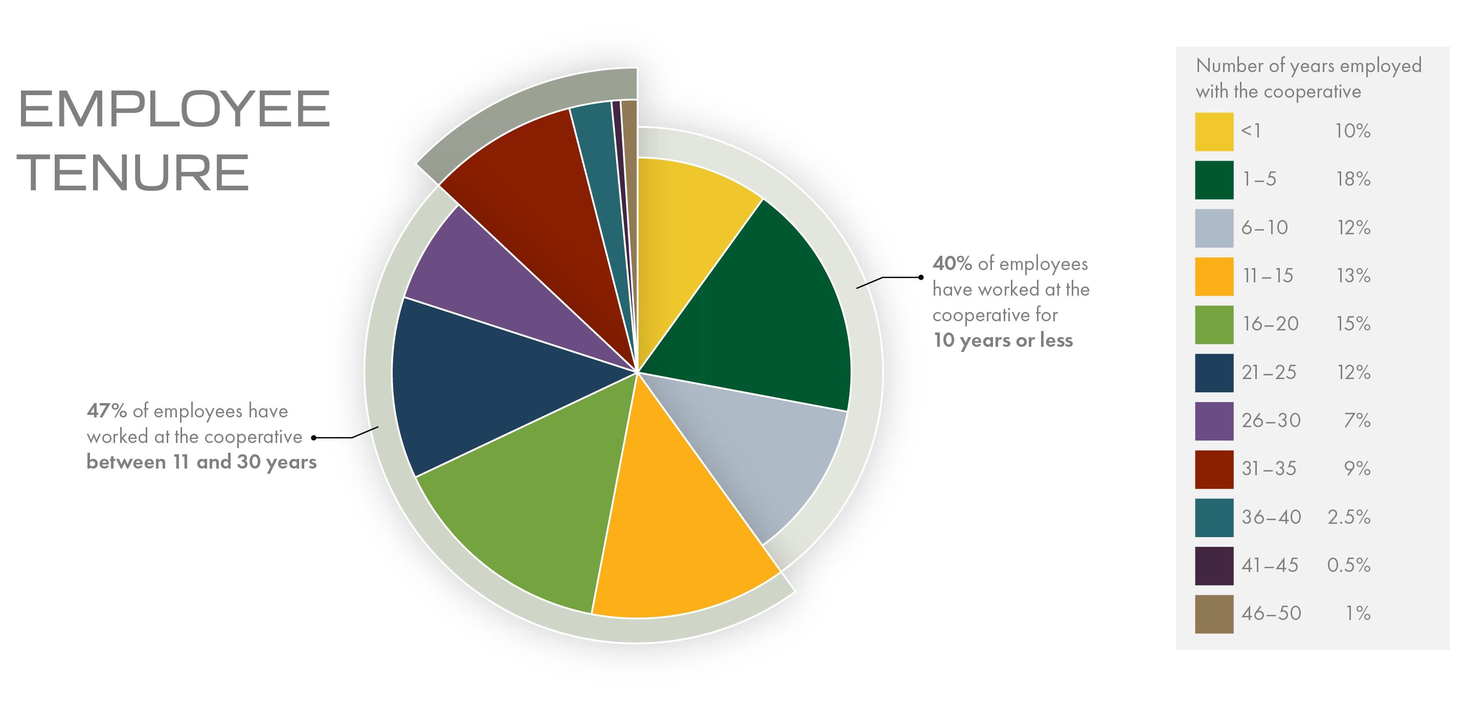 47% of employees have worked at the cooperative between 11 and 30 years