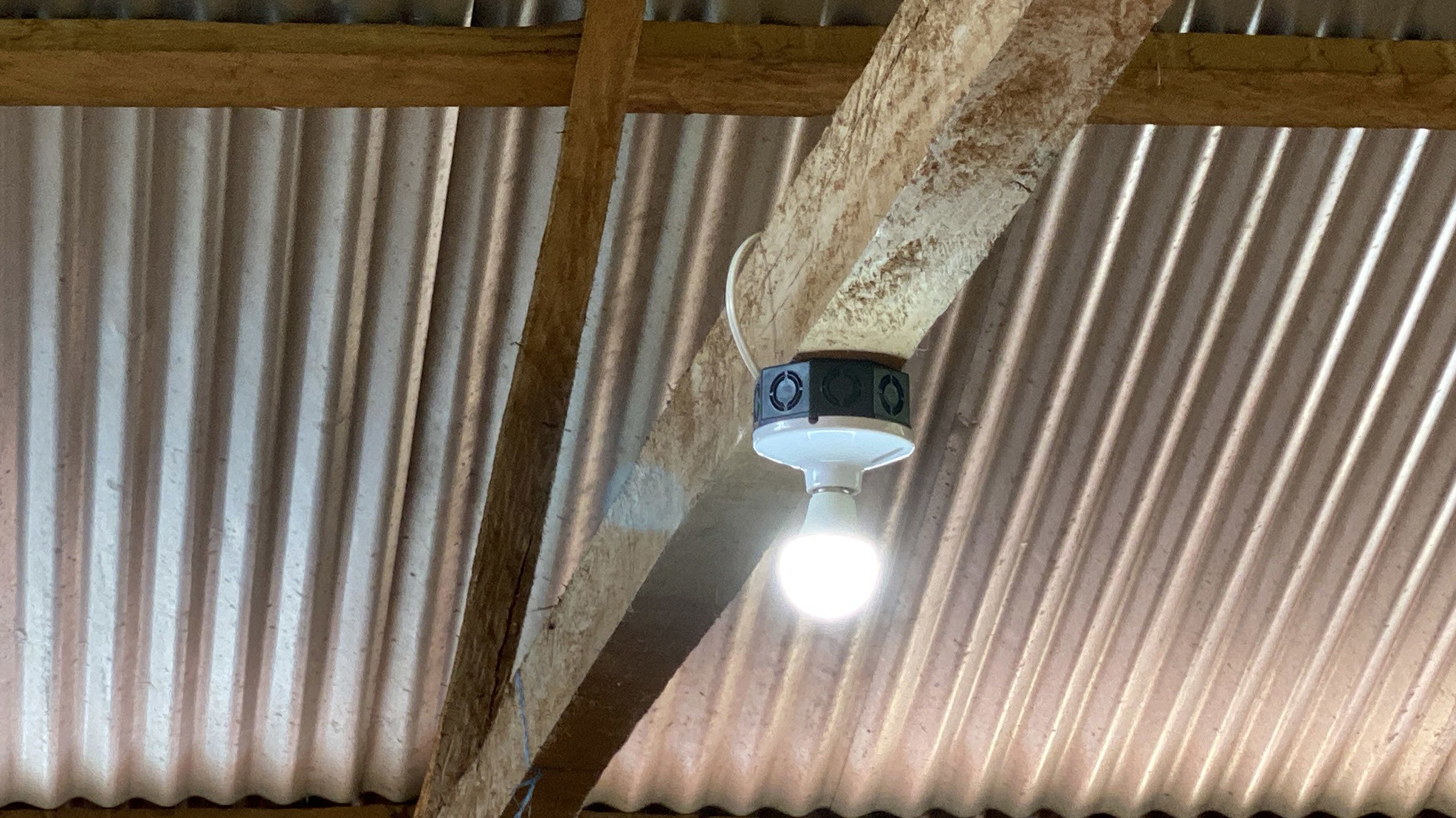 Glowing lightbulb hanging from joist underneath metal roof